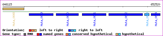 gene map