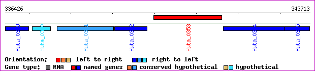 gene map