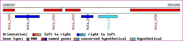 gene map