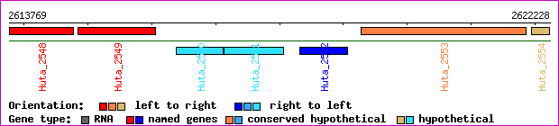 gene map