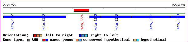 gene map