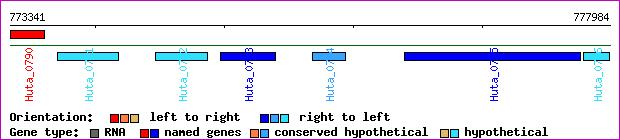 gene map