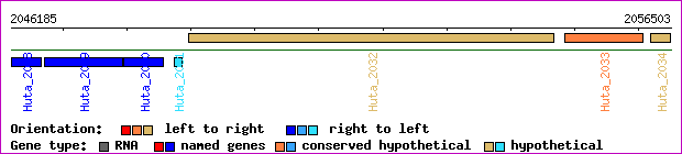 gene map