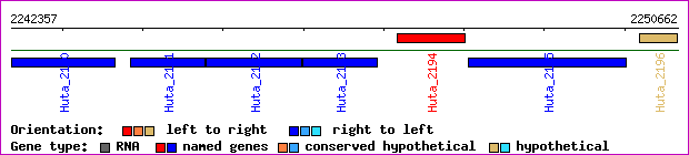 gene map