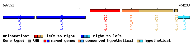 gene map