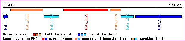 gene map