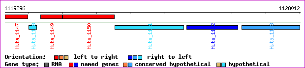 gene map