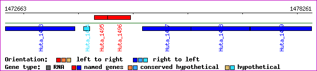 gene map