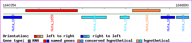 gene map