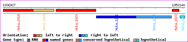 gene map