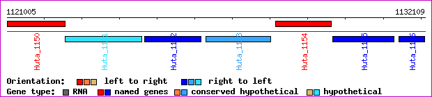 gene map