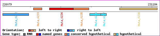 gene map