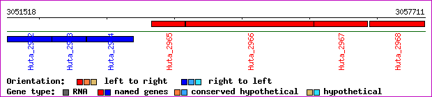 gene map
