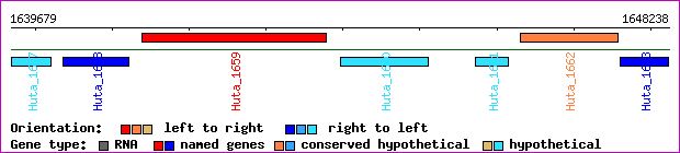 gene map