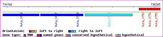 gene map