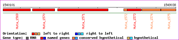 gene map