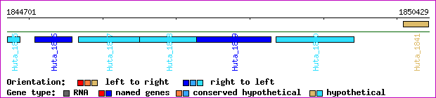 gene map