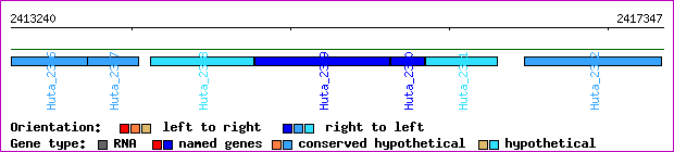 gene map