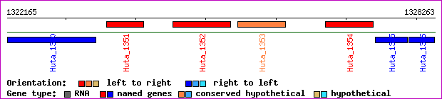 gene map