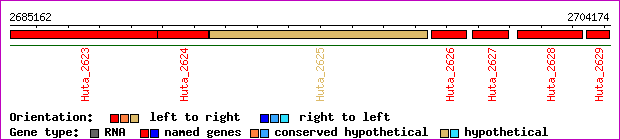 gene map