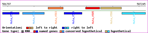 gene map
