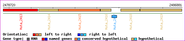 gene map