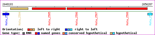 gene map