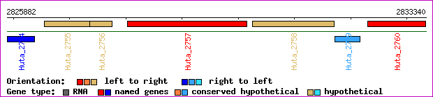 gene map
