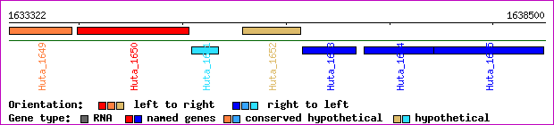 gene map