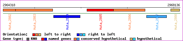 gene map