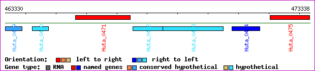 gene map