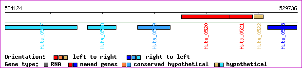 gene map