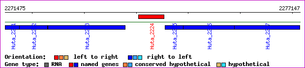 gene map