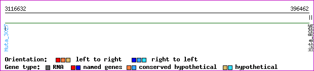 gene map