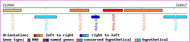 gene map