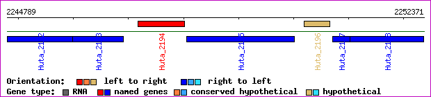 gene map
