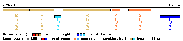 gene map