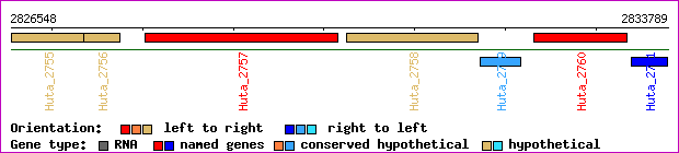 gene map
