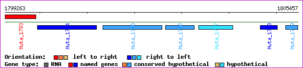 gene map