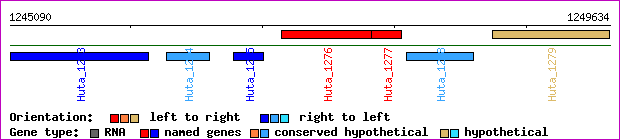 gene map