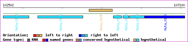 gene map