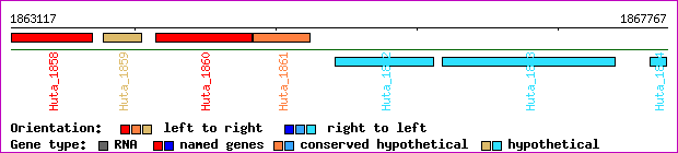 gene map