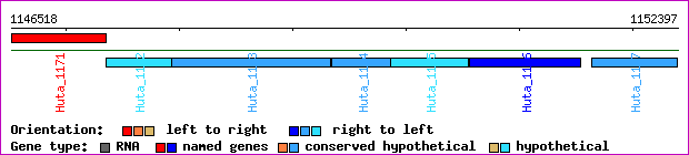 gene map