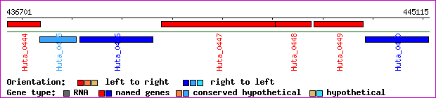 gene map