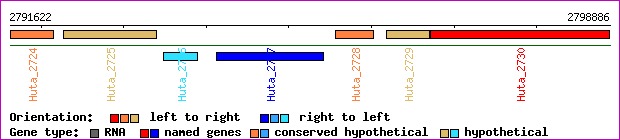 gene map
