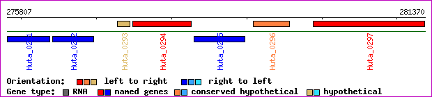 gene map
