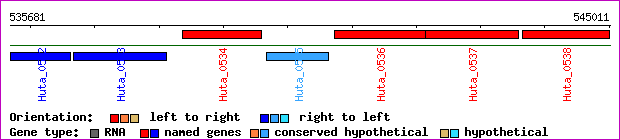 gene map