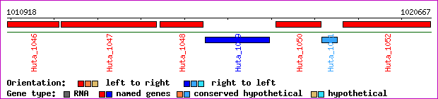 gene map