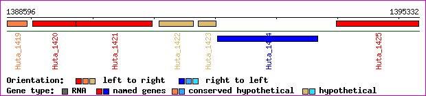 gene map