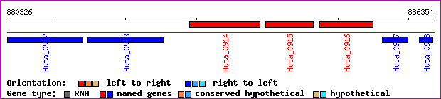 gene map